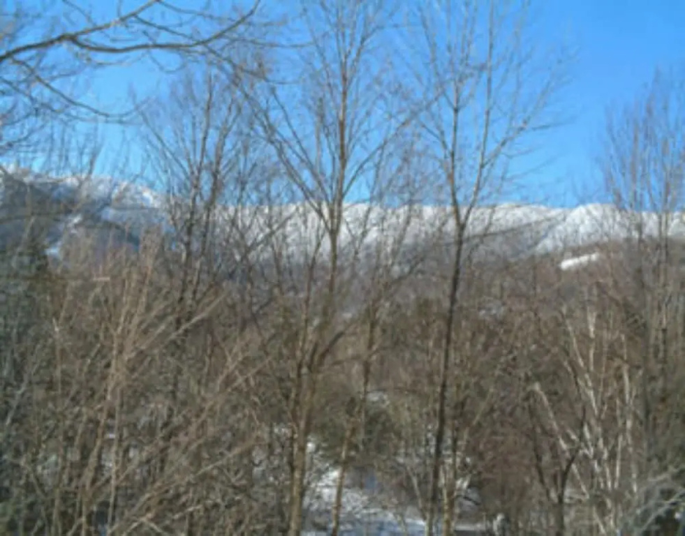 Sugartree Inn