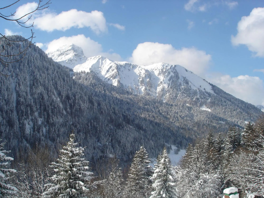 Mountain-View Chalet In Chatel Near Skiing Area