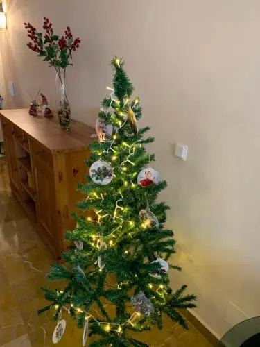 Apartamento Calle Nueva