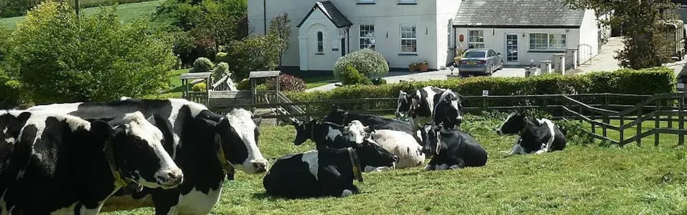 Wheatley Farm