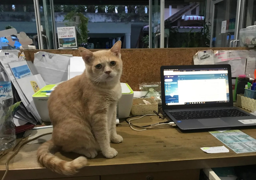 The HideAway Patong Beach