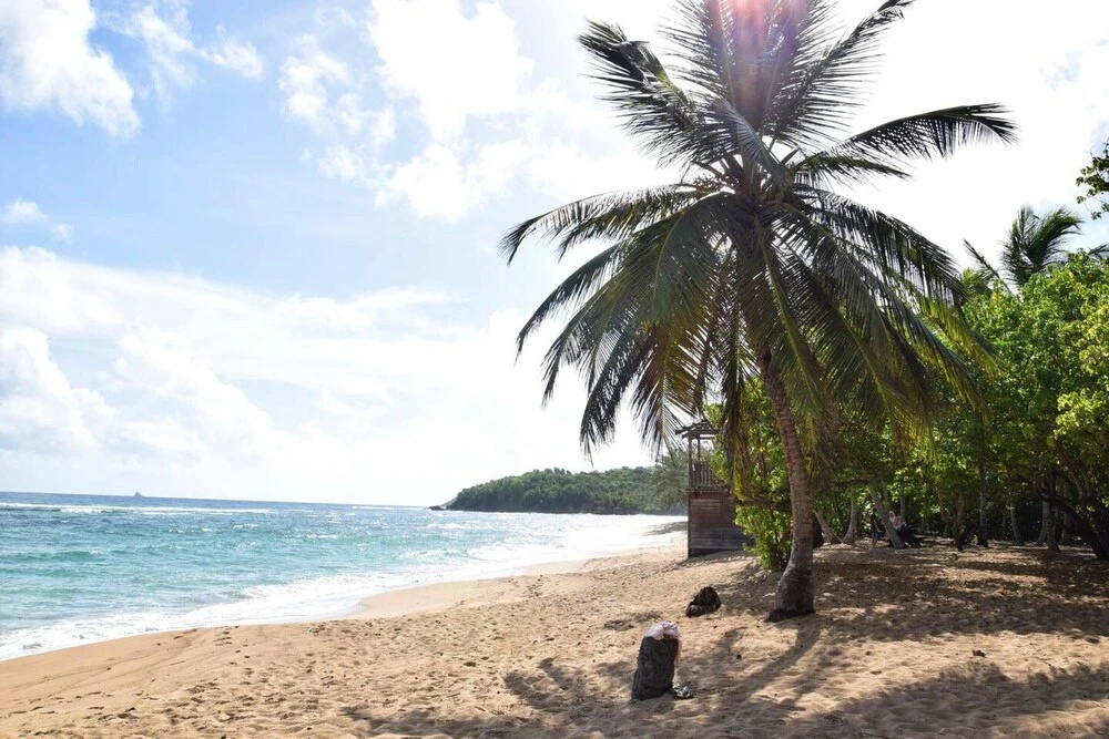 Apartment with One Bedroom in la Trinité, with Enclosed Garden And Wifi - 200 M From the Beach