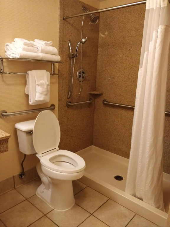 Holiday Inn Canton (Belden Village) by IHG