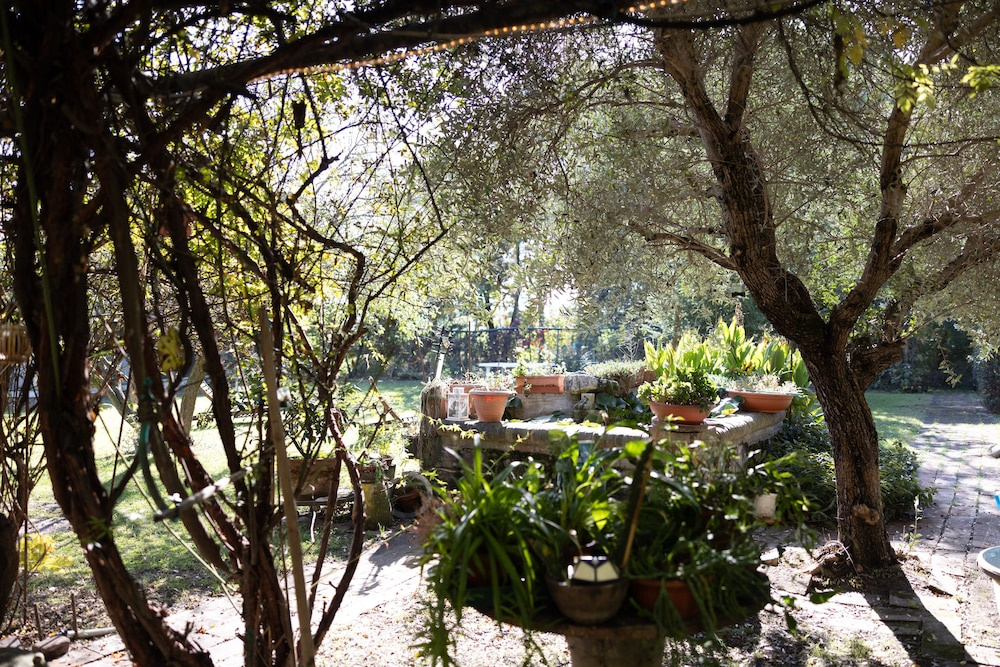 Locanda Acetaia Malagoli Daniele