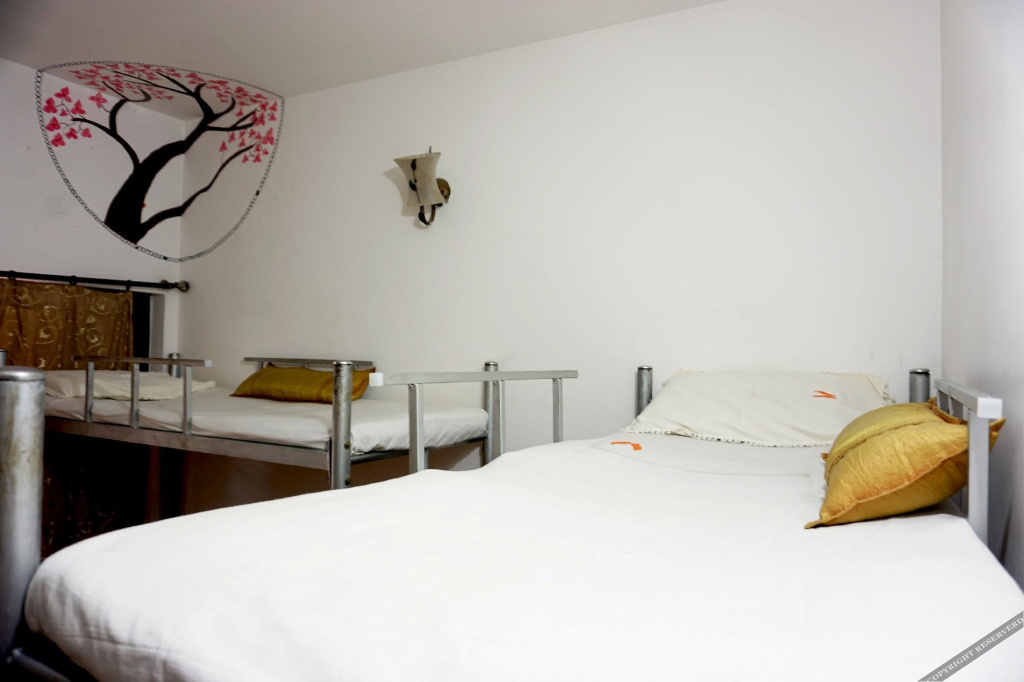AAO Hostels