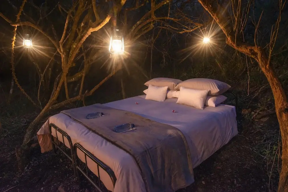 Stargazer Camp - Bellevue Forest Reserve