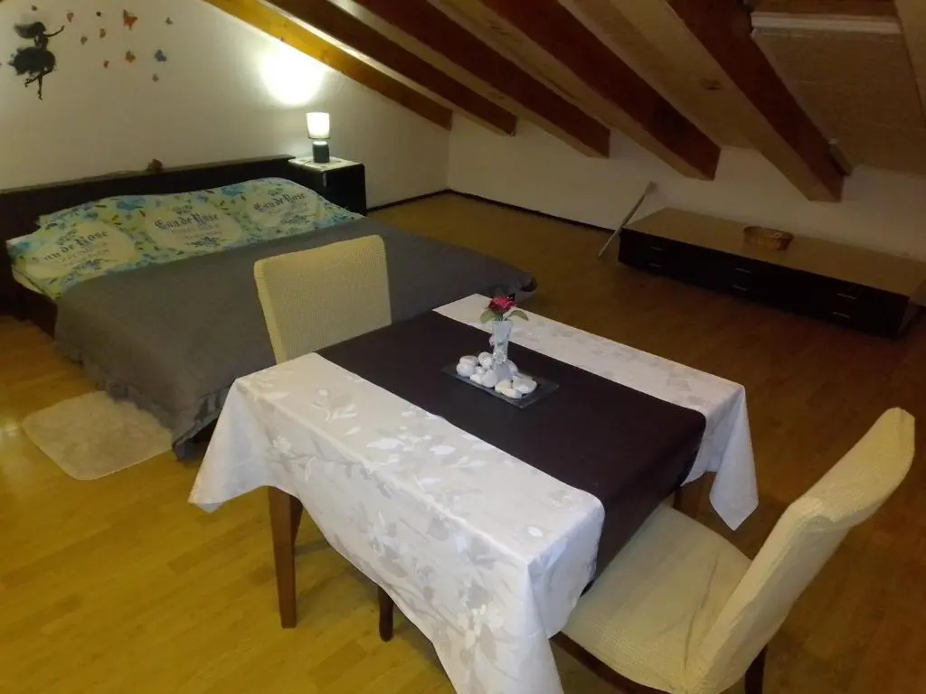 Apartments with WiFi Rijeka - 18659