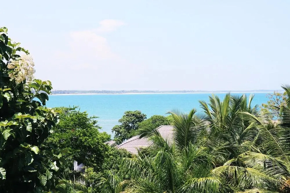 Sea Avenue Eco Garden