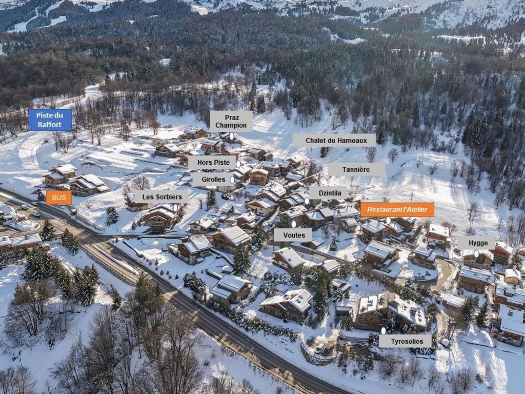 Chalet authentique avec jacuzzi, sauna et parking pour 12 personnes - FR-1-566-8
