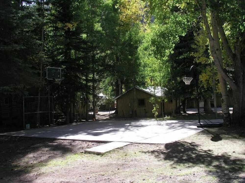Alpine Vacation Rental