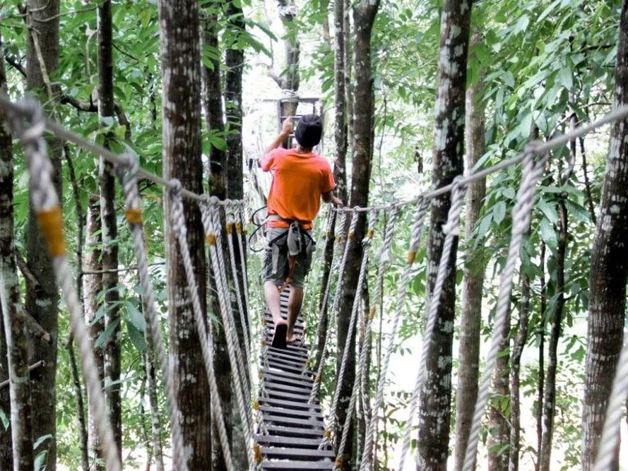 Camp Alfredo Adventure Resort