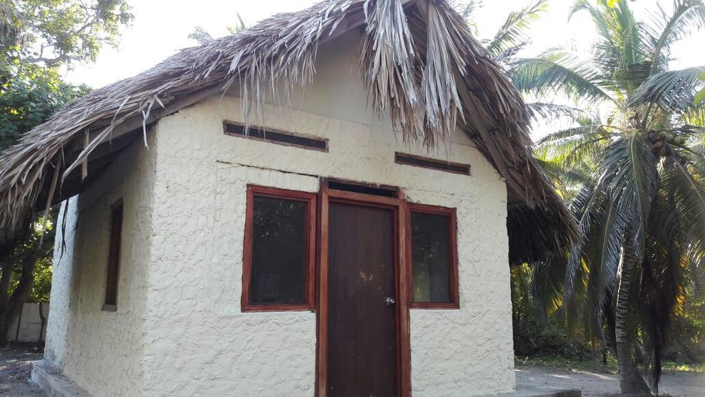Eco Hotel Punta Nativa