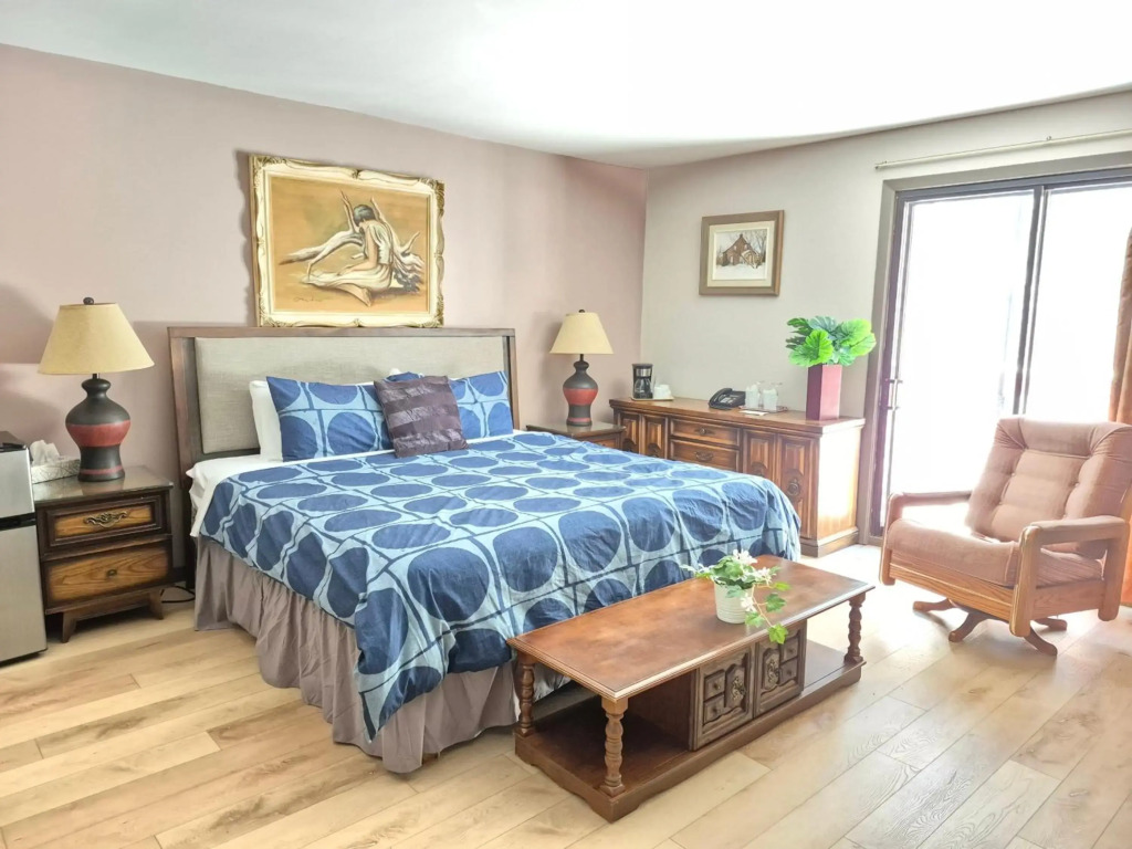 Motel Le Radisson de Val-David