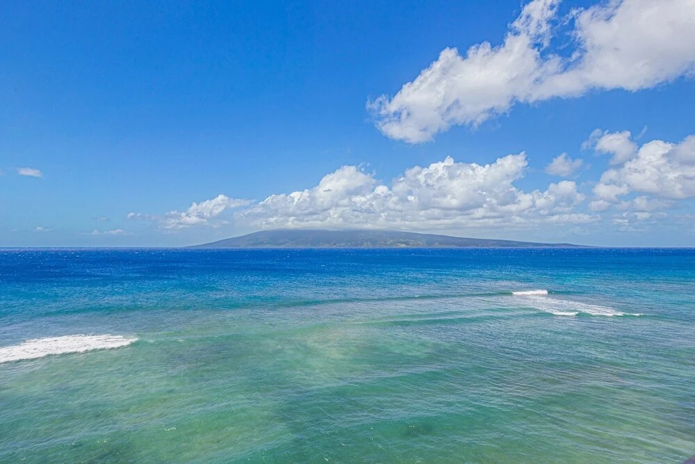 Maui Kai 805 Ocean View 1 bedroom/1 bath 1 Condo by RedAwning