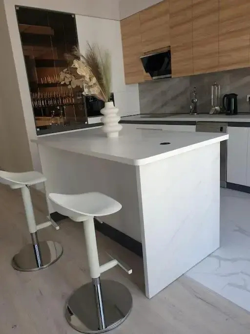 Lovely 1-bedroom rental unit in downtown