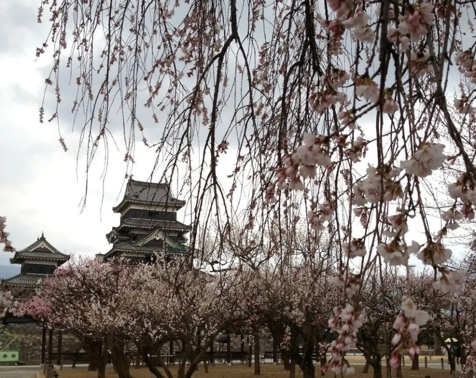 Matsumoto BackPackers