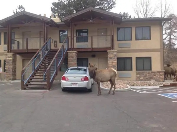 The Haber Motel
