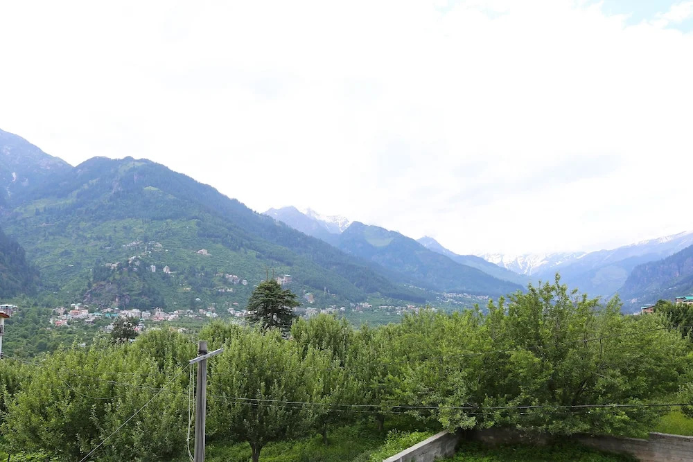 OYO 7007 Manali Village Cottage