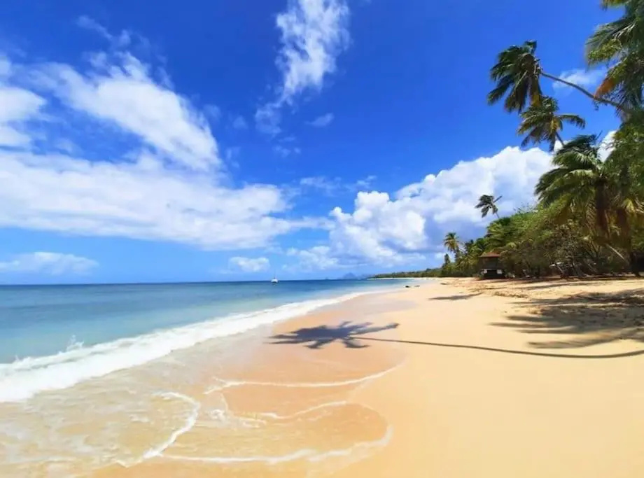 Le Diamant d'Océane, à 50 m de la plage
