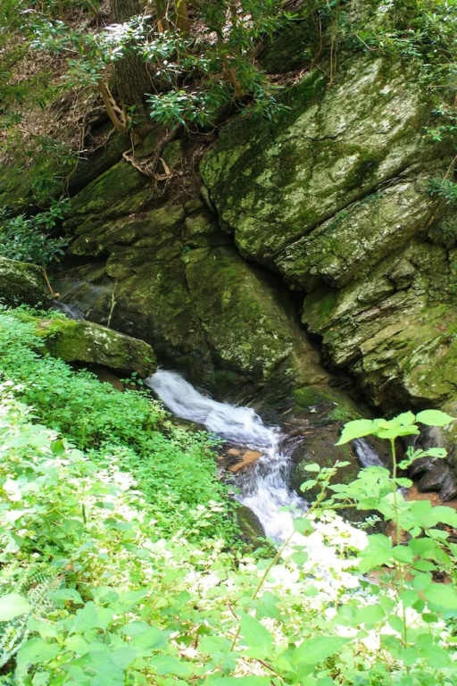 Whispering Falls 2 Bedroom Cabin