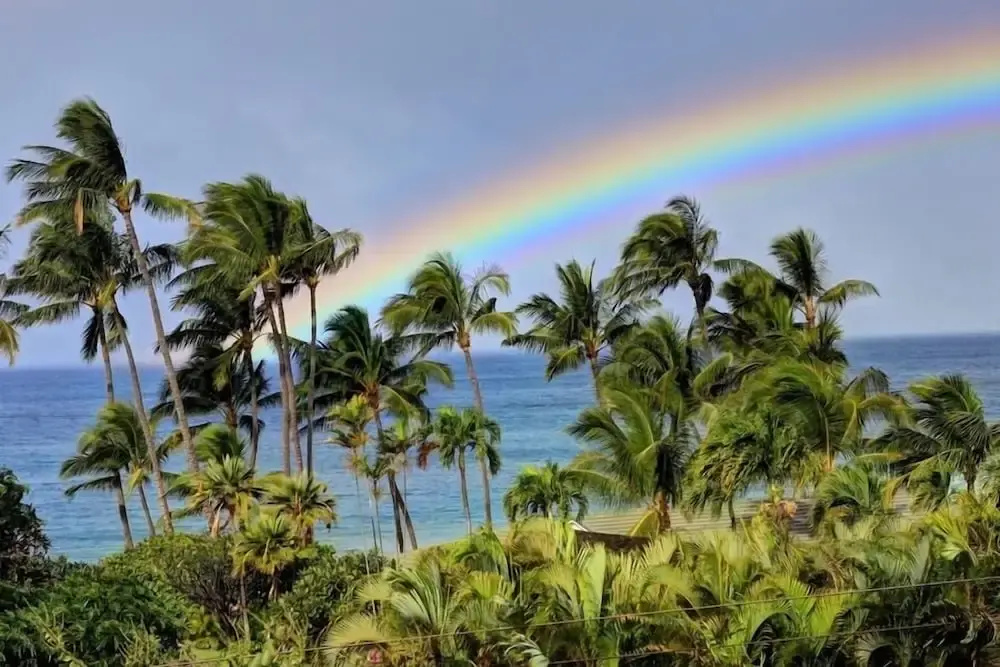 Wailea Ekahi, #22d 1 Bedroom Condo by RedAwning