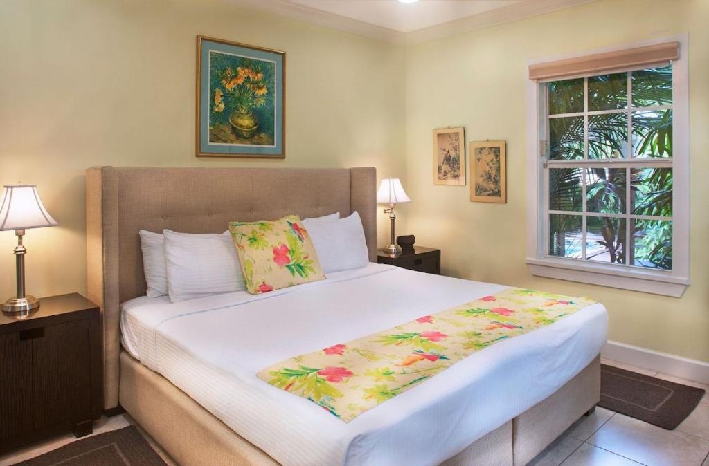 Travelers Palm