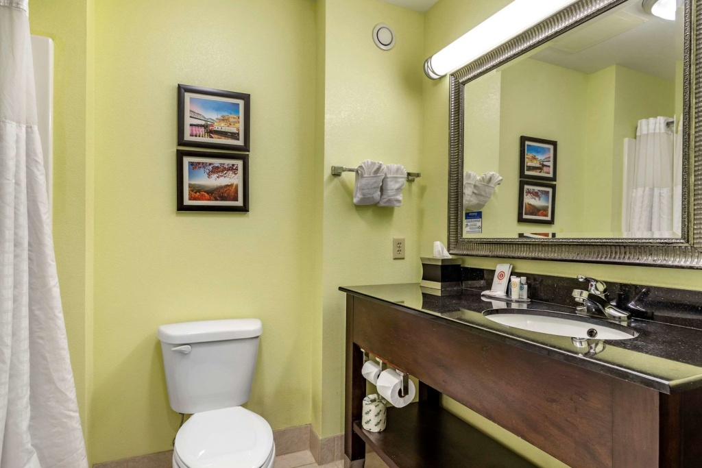 Comfort Inn Athens I - 75