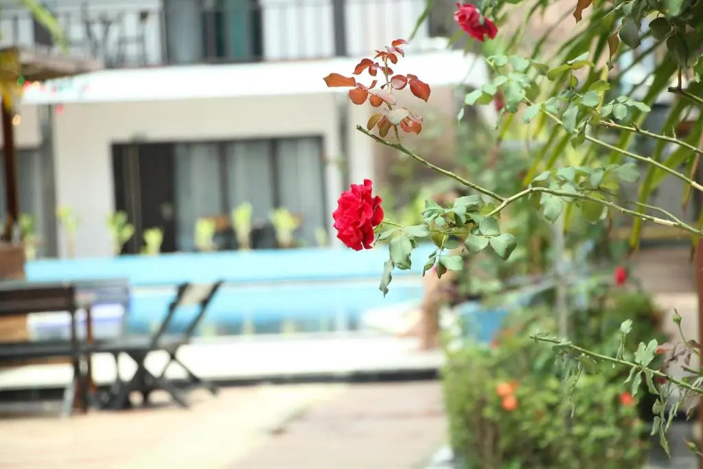 Confetti Garden Resort
