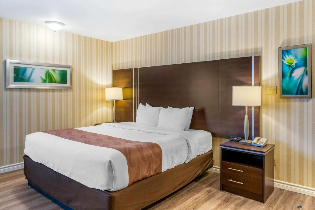 Quality Hotel & Suites