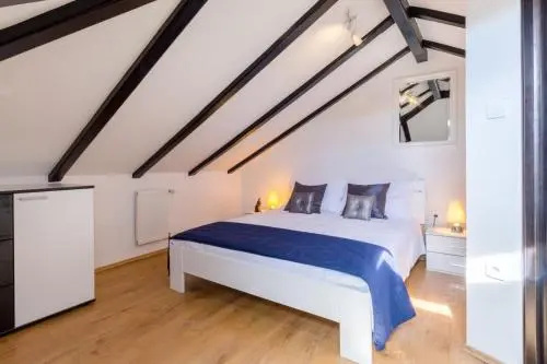 Luxury house David