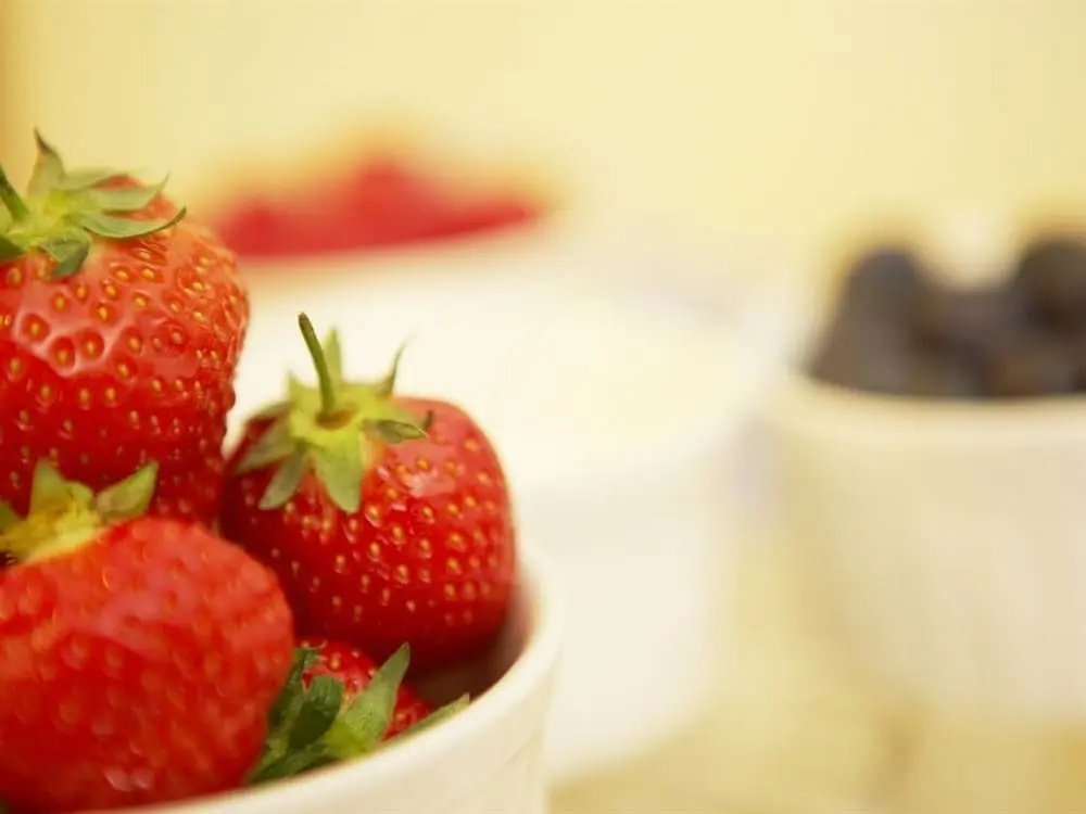 Abbots Leigh Bed & Breakfast