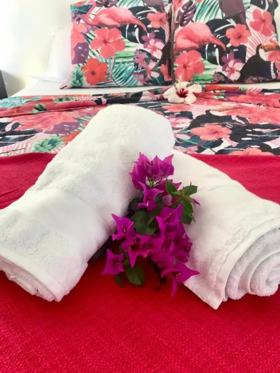 Bel appartement privé, magnifique vue sur la mer des Caraibes et jardin clos, WiFi, à 2mn de la plage