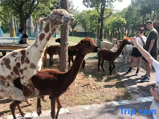 Shanghai Muxi Garden Homestay (Chongming Forest Park)