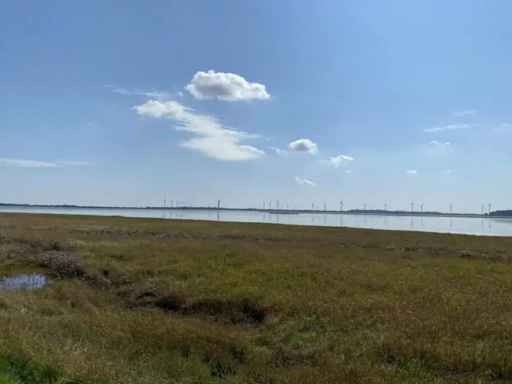 Seaside Serenity at Als Odde-By Traum