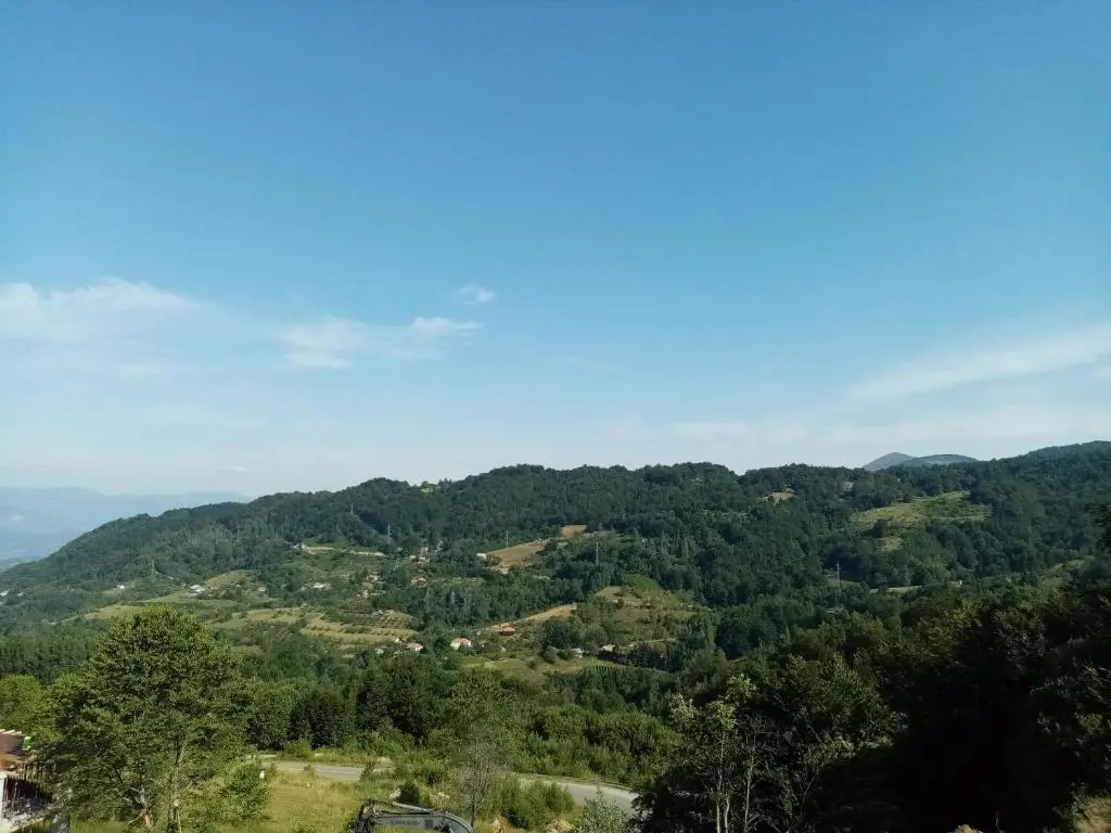 Pčelica L15 Milmari
