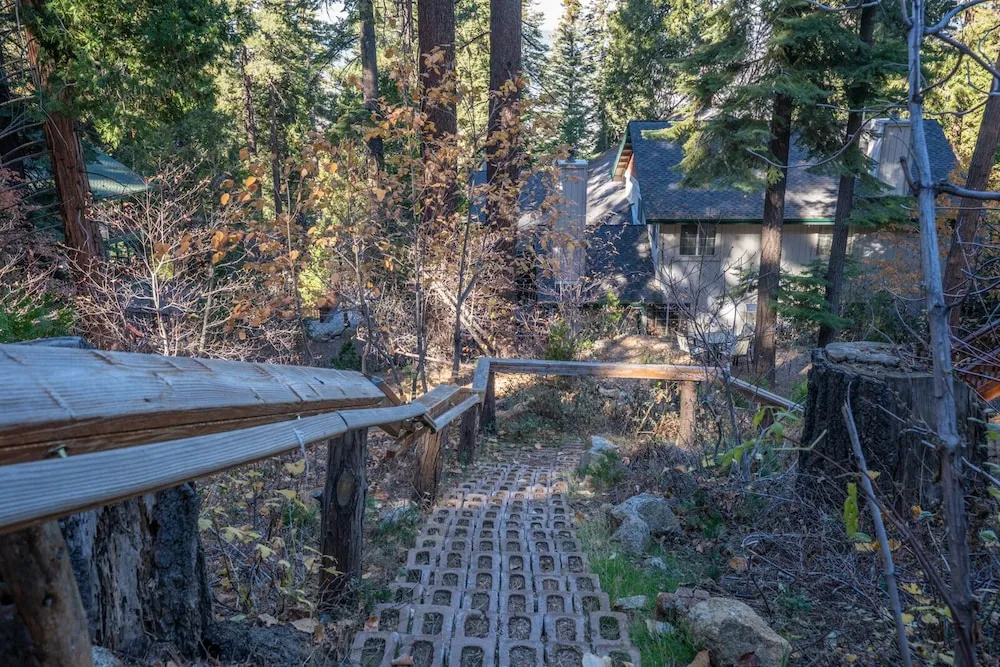 Yosemite Woods