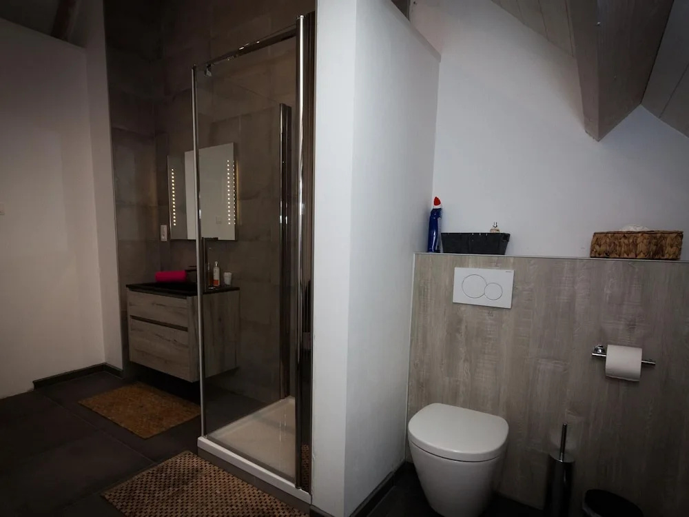 Villa With Swimming Pool in Erembodegem