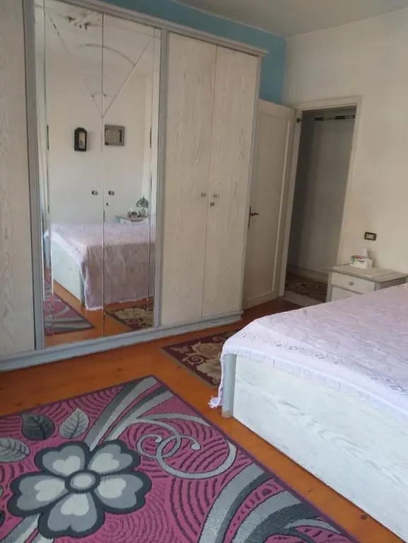 1 bedroom apartment in the heart of Cairo , just 15 minutes from the airport