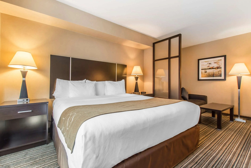 Comfort Suites Downtown