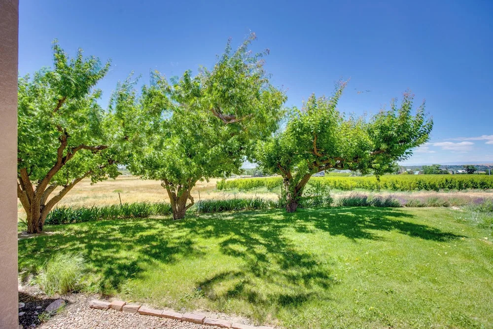 Hot Tub, Wineries, Mtn Views Palisade Home!