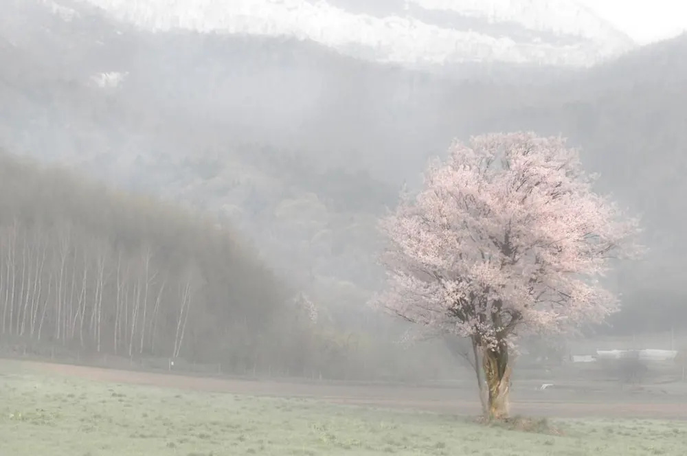 Rising Sun Furano