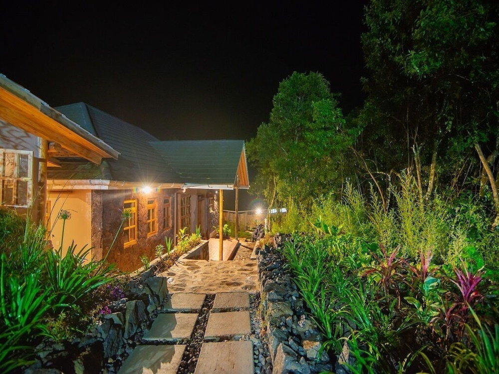 Gorilla Leisure Lodge