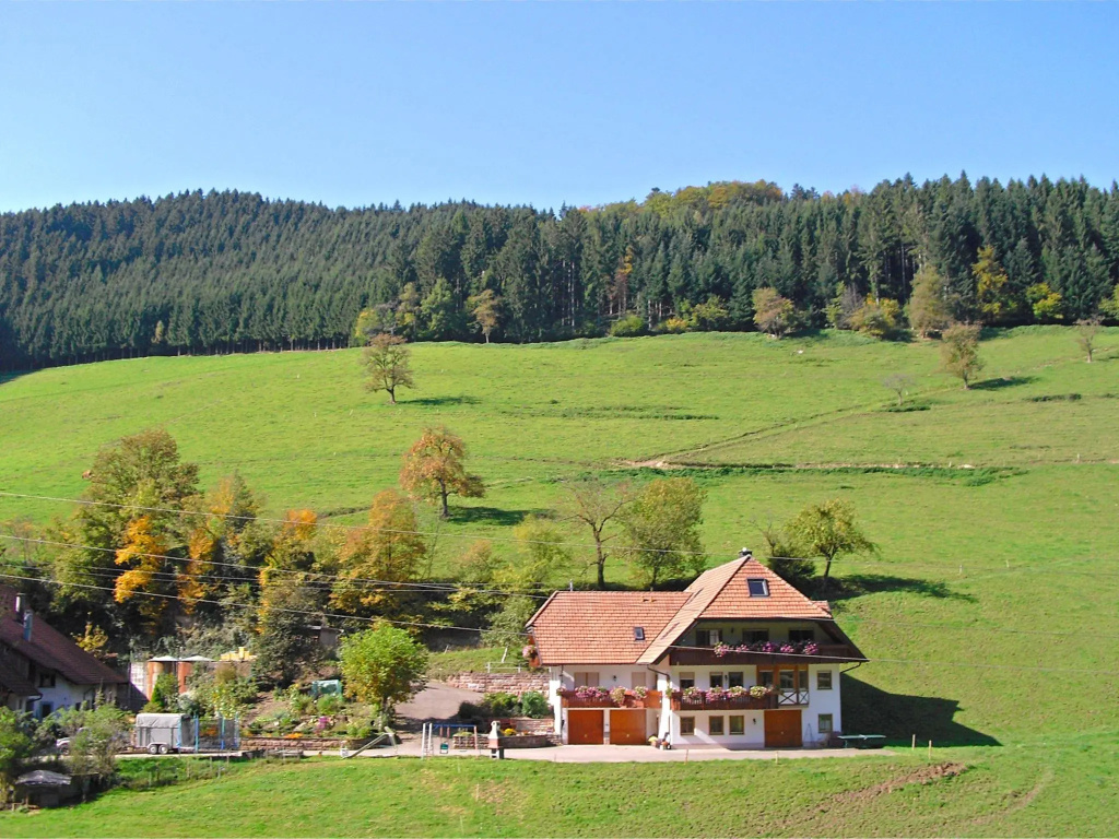 Comfy Apartment in Salmensbach near River