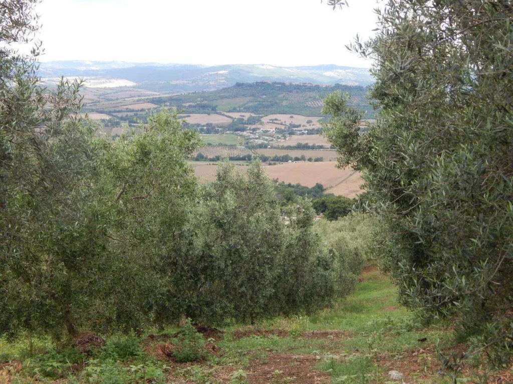 Piane Del Bagno