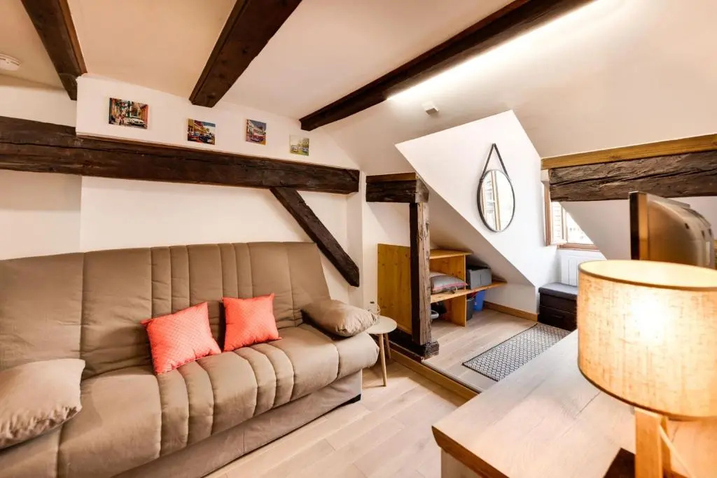 Le Cocooning - Small studio of 20 square meter in the heart of Annecy