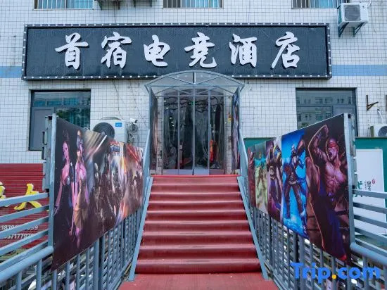 Baoji Shousu E-sports Hotel