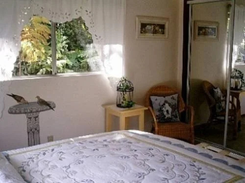 Hapuu Fern Cottage