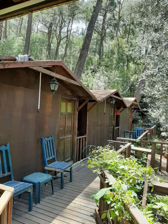 Altaris Bungalows Olympos