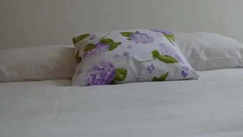 Watching Azores Apartment