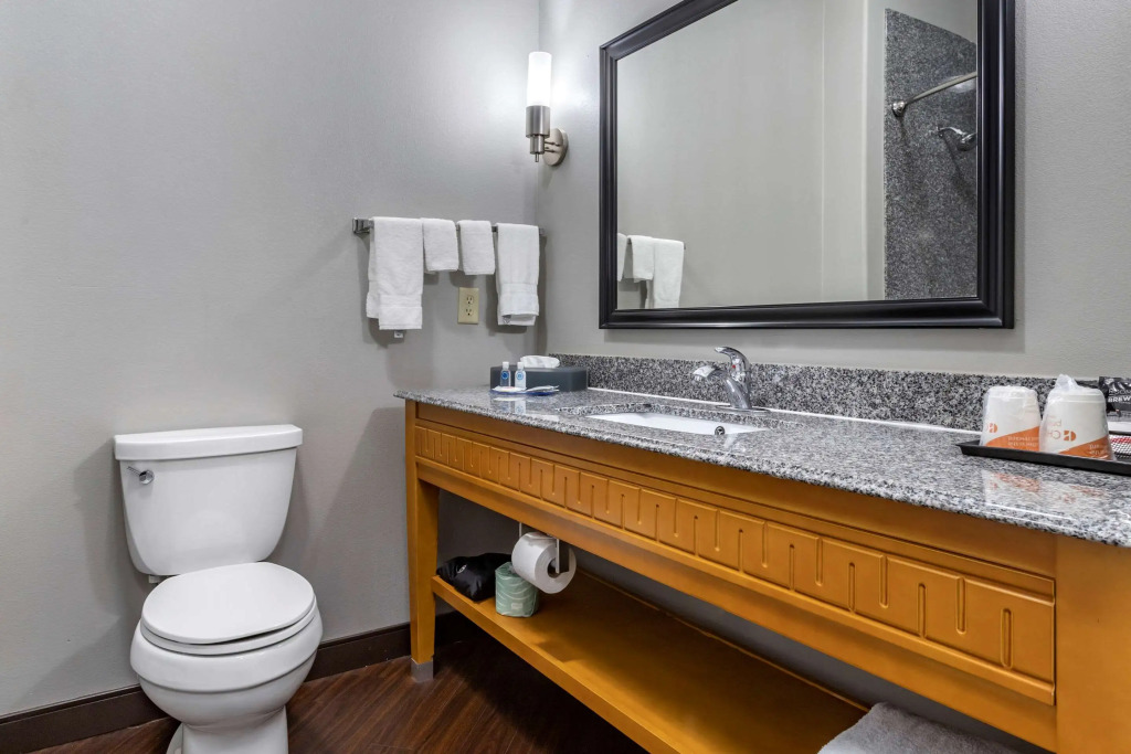 Comfort Inn & Suites Cleveland TX